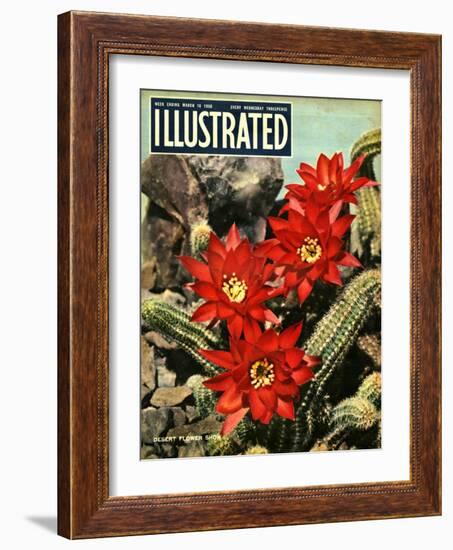 1950s UK Illustrated Magazine Cover-null-Framed Giclee Print