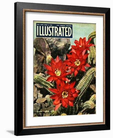 1950s UK Illustrated Magazine Cover-null-Framed Giclee Print