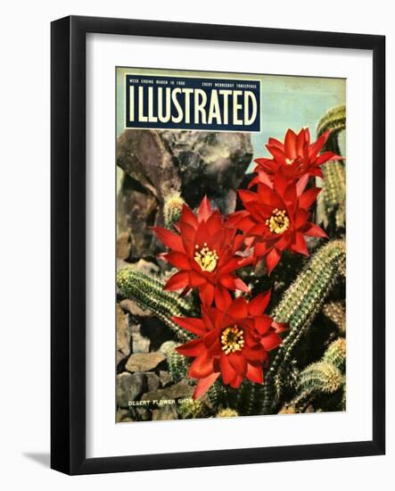 1950s UK Illustrated Magazine Cover-null-Framed Giclee Print