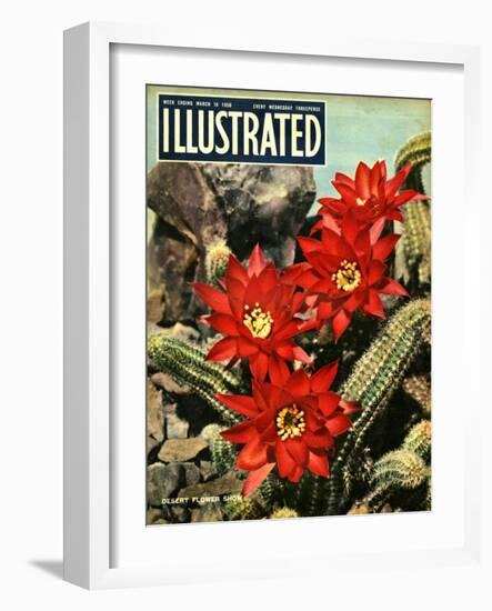 1950s UK Illustrated Magazine Cover-null-Framed Giclee Print