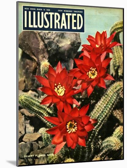 1950s UK Illustrated Magazine Cover-null-Mounted Giclee Print