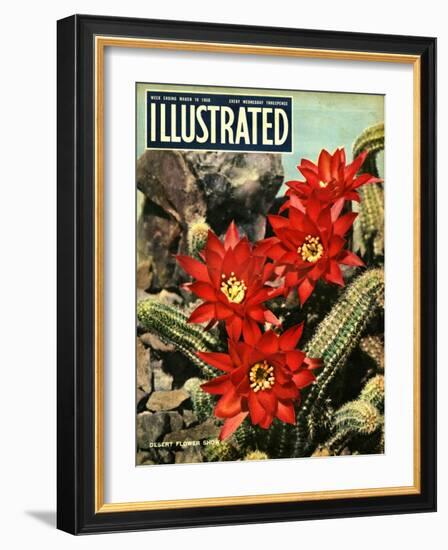 1950s UK Illustrated Magazine Cover-null-Framed Giclee Print