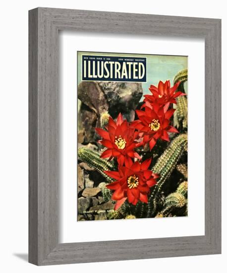 1950s UK Illustrated Magazine Cover-null-Framed Giclee Print