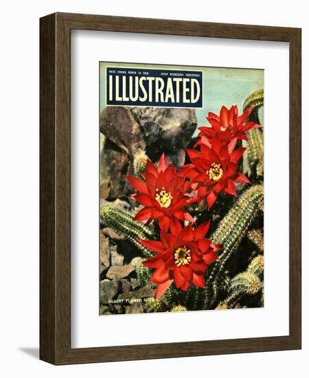 1950s UK Illustrated Magazine Cover-null-Framed Giclee Print