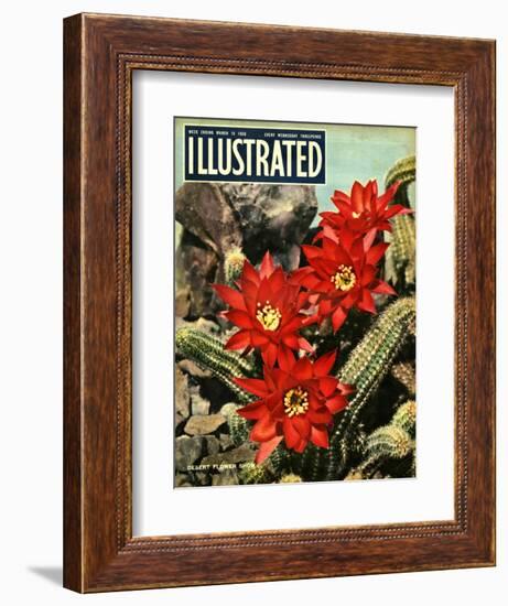 1950s UK Illustrated Magazine Cover-null-Framed Giclee Print