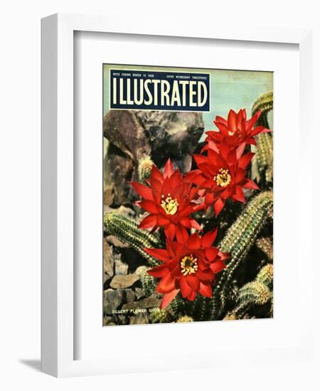 1950s UK Illustrated Magazine Cover-null-Framed Giclee Print