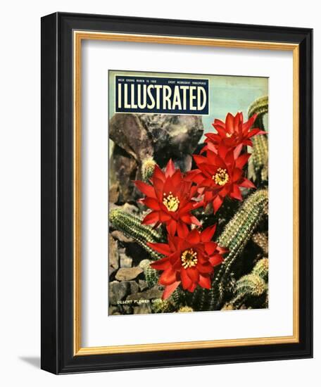 1950s UK Illustrated Magazine Cover-null-Framed Giclee Print