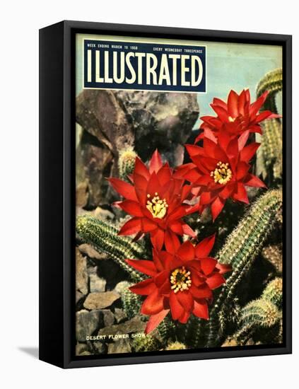 1950s UK Illustrated Magazine Cover-null-Framed Premier Image Canvas