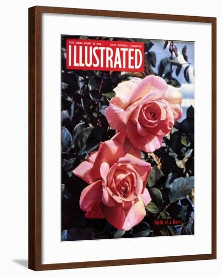 1950s UK Illustrated Magazine Cover-null-Framed Giclee Print