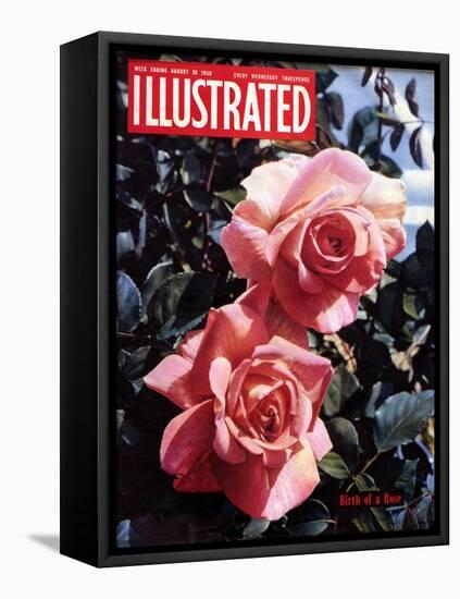 1950s UK Illustrated Magazine Cover-null-Framed Premier Image Canvas