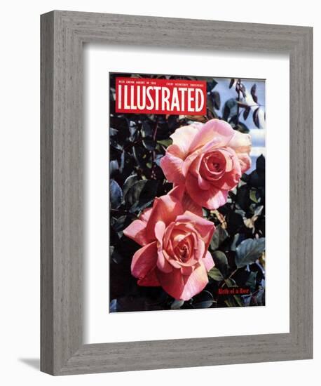 1950s UK Illustrated Magazine Cover-null-Framed Giclee Print