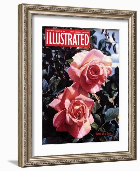 1950s UK Illustrated Magazine Cover-null-Framed Giclee Print