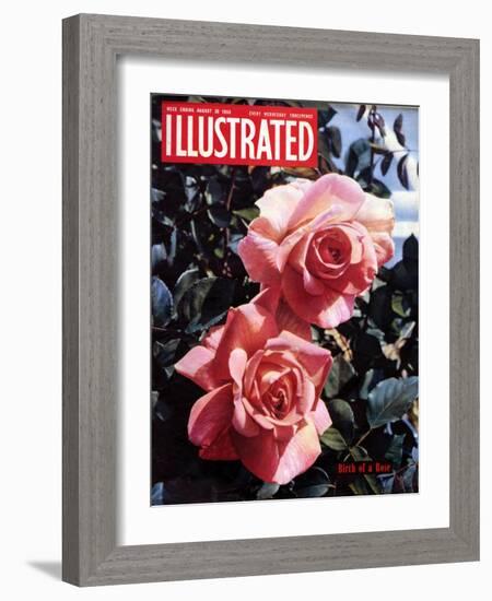 1950s UK Illustrated Magazine Cover-null-Framed Giclee Print