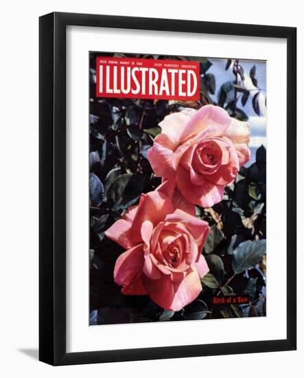 1950s UK Illustrated Magazine Cover-null-Framed Giclee Print