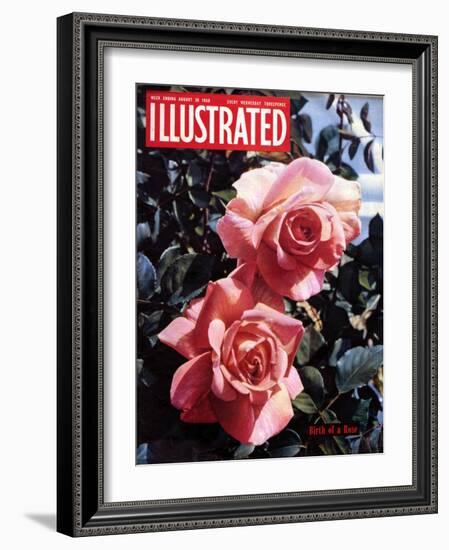 1950s UK Illustrated Magazine Cover-null-Framed Giclee Print