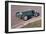 1951 Ferrari 125-null-Framed Photographic Print