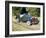 1951 Mg Td-null-Framed Photographic Print