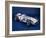 1954 Mercedes W196-null-Framed Photographic Print