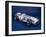 1954 Mercedes W196-null-Framed Photographic Print