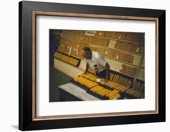 1955: at the Iowa State Fair, a Judge Examine Corn Cob Entries, Des Moines, Iowa-John Dominis-Framed Photographic Print