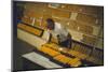 1955: at the Iowa State Fair, a Judge Examine Corn Cob Entries, Des Moines, Iowa-John Dominis-Mounted Photographic Print