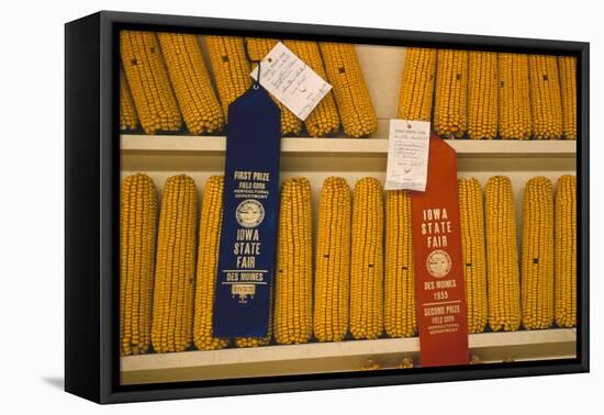 1955: First and Second Place Ribbon-Winning 'Field Corn' Entries at the Iowa State Fair-John Dominis-Framed Premier Image Canvas