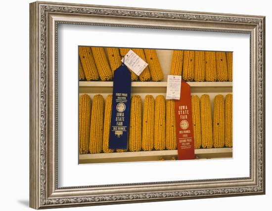 1955: First and Second Place Ribbon-Winning 'Field Corn' Entries at the Iowa State Fair-John Dominis-Framed Photographic Print