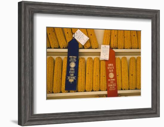 1955: First and Second Place Ribbon-Winning 'Field Corn' Entries at the Iowa State Fair-John Dominis-Framed Photographic Print