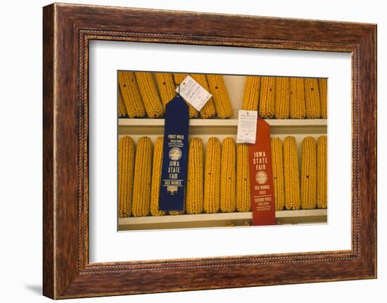 1955: First and Second Place Ribbon-Winning 'Field Corn' Entries at the Iowa State Fair-John Dominis-Framed Photographic Print