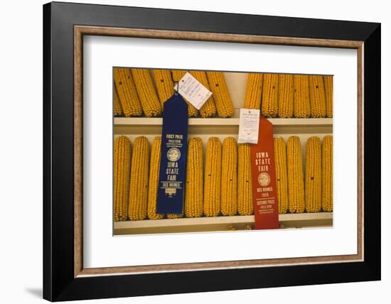 1955: First and Second Place Ribbon-Winning 'Field Corn' Entries at the Iowa State Fair-John Dominis-Framed Photographic Print