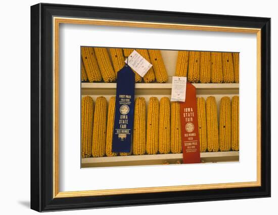 1955: First and Second Place Ribbon-Winning 'Field Corn' Entries at the Iowa State Fair-John Dominis-Framed Photographic Print