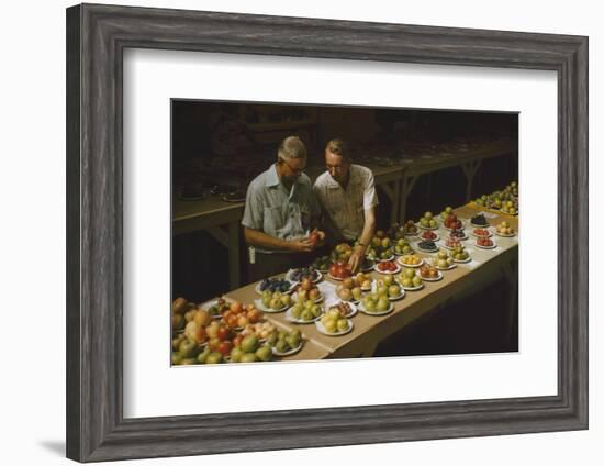 1955: Judges Examining Produce Entries in the Agriculture Building at the Iowa State Fair-John Dominis-Framed Photographic Print