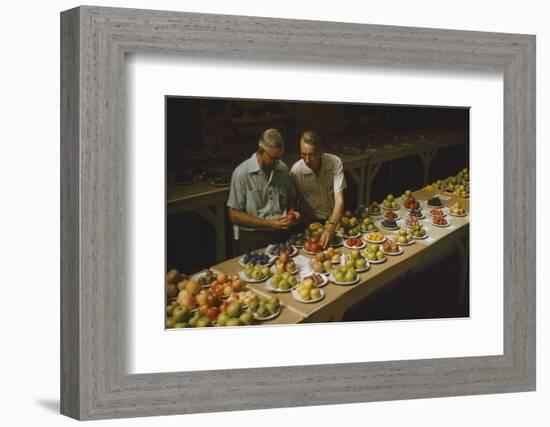 1955: Judges Examining Produce Entries in the Agriculture Building at the Iowa State Fair-John Dominis-Framed Photographic Print