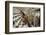 1955: Judges Examining Various Preserves and Butters, at the Iowa State Fair, Des Moines, Iowa-John Dominis-Framed Photographic Print