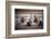 1955: Judges Examining Various Preserves and Butters, at the Iowa State Fair, Des Moines, Iowa-John Dominis-Framed Photographic Print