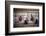 1955: Judges Examining Various Preserves and Butters, at the Iowa State Fair, Des Moines, Iowa-John Dominis-Framed Photographic Print