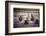 1955: Judges Examining Various Preserves and Butters, at the Iowa State Fair, Des Moines, Iowa-John Dominis-Framed Photographic Print