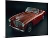 1956 Austin Healey 100-BM2 Car-null-Mounted Photographic Print