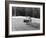 1956 Fiat 600 Racing at Silverstone, Northamptonshire, 1957-null-Framed Photographic Print