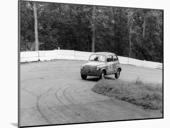 1956 Fiat 600 Racing at Silverstone, Northamptonshire, 1957-null-Mounted Photographic Print