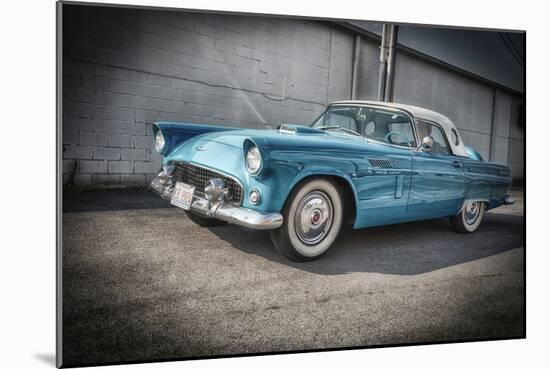 1956 Ford Thunderbird-Stephen Arens-Mounted Photographic Print