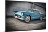 1956 Ford Thunderbird-Stephen Arens-Mounted Photographic Print