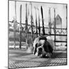 1956 Winter Olympic Game-Bosher-Mounted Photographic Print