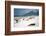 1957: Copacabana Beach, Rio De Janeiro, Brazil-Dmitri Kessel-Framed Photographic Print