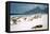 1957: Copacabana Beach, Rio De Janeiro, Brazil-Dmitri Kessel-Framed Premier Image Canvas