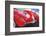 1957 Corvette-Graham Reynolds-Framed Premium Giclee Print