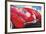 1957 Corvette-Graham Reynolds-Framed Art Print