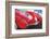 1957 Corvette-Graham Reynolds-Framed Art Print