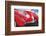 1957 Corvette-Graham Reynolds-Framed Art Print