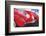 1957 Corvette-Graham Reynolds-Framed Art Print